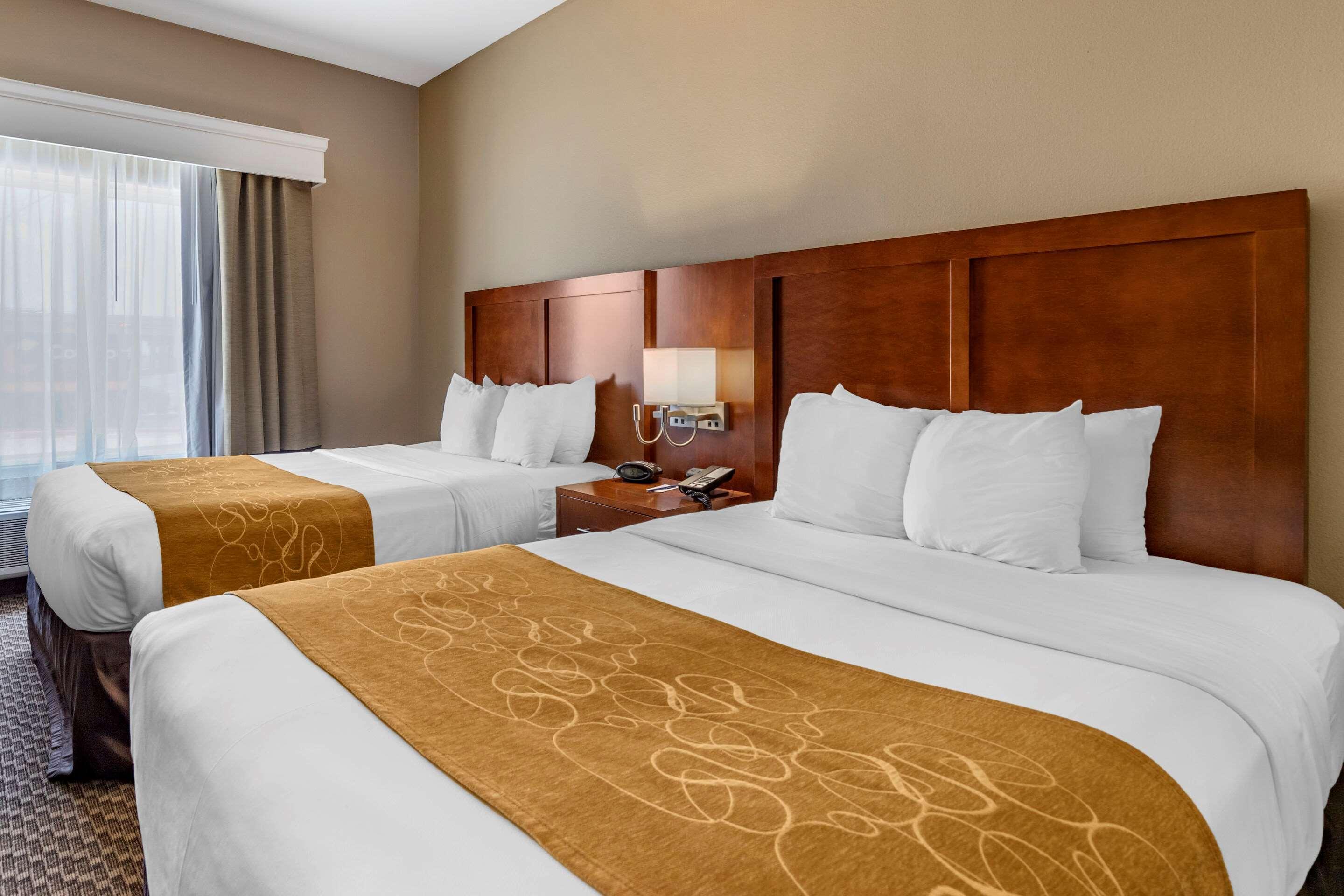คอมฟอร์ต สวีท เนียร์ เท็กซัส เอ แอนด์ เอ็ม - คอร์ปัส คริสตี Hotel คอร์ปัสคริสตี ภายนอก รูปภาพ